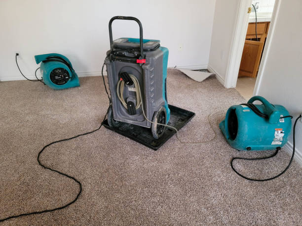 Best Flooded house restoration  in Pottsgrove, PA