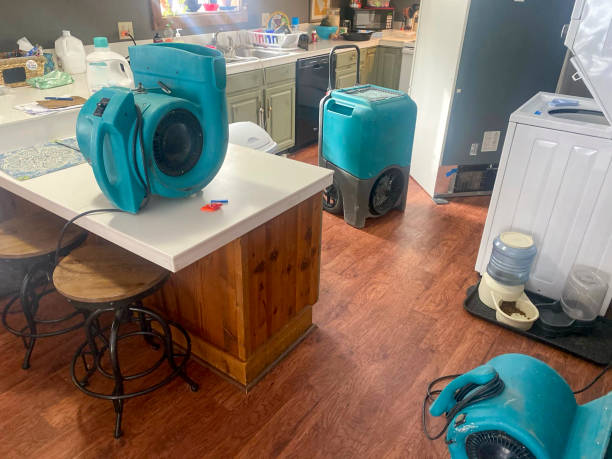 Best Mold removal after water damage  in Pottsgrove, PA