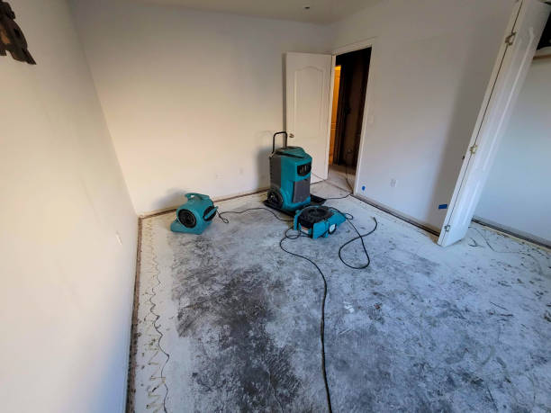 Best Basement water damage restoration  in Pottsgrove, PA