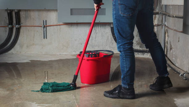 Best Water damage cleanup near me  in Pottsgrove, PA