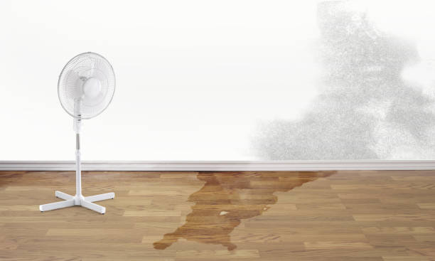 Best Sewage cleanup and water damage restoration  in Pottsgrove, PA