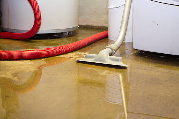 Best Flood damage cleanup  in Pottsgrove, PA