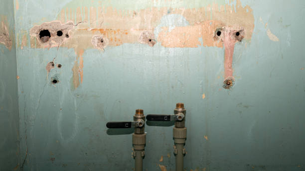 Best Flood restoration services  in Pottsgrove, PA