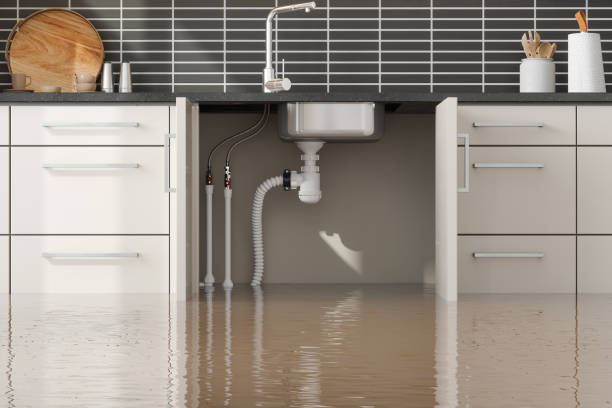 Best Water damage contractors near me  in Pottsgrove, PA